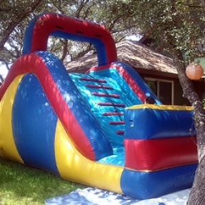 backyard2