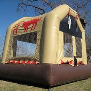 bull1