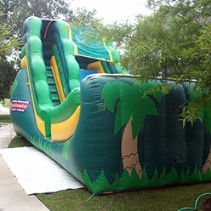 tropical1_1076815422