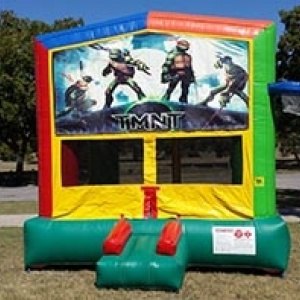 turtles2